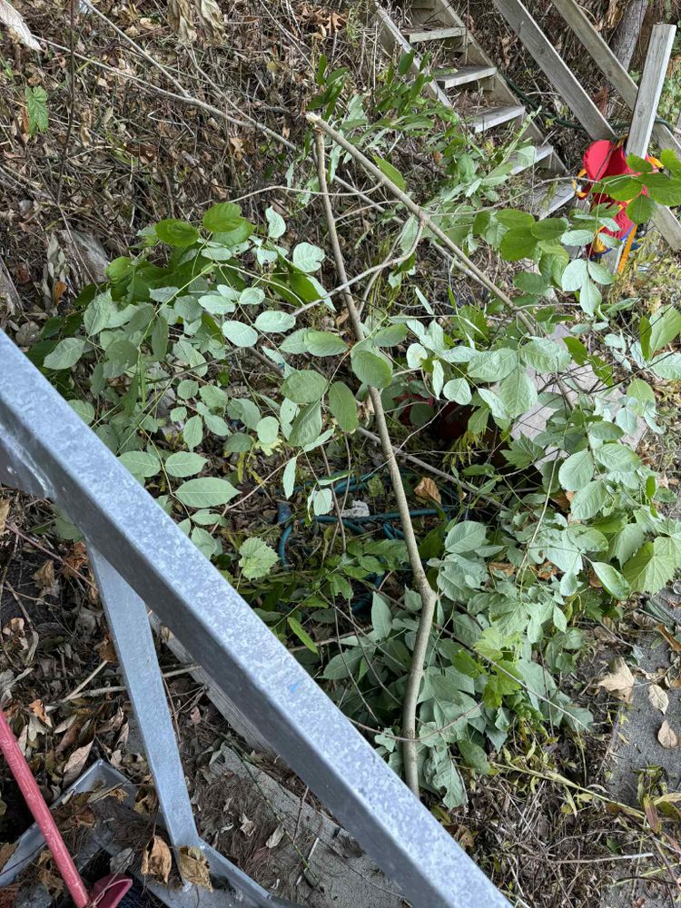 All Photos for Daugherty's Tough Lawn Care in Essexville, MI