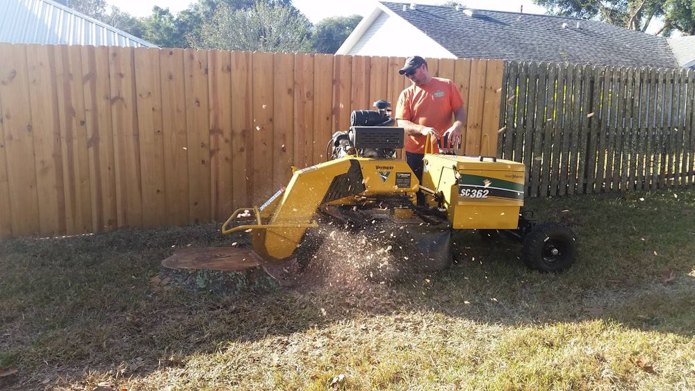 We offer professional stump removal services to fully eliminate unsightly stumps from your property, ensuring a seamless and safe landscape transformation that enhances the overall aesthetic appeal of your home. for Daniel Hickey’s Tree Service in DeLand, FL