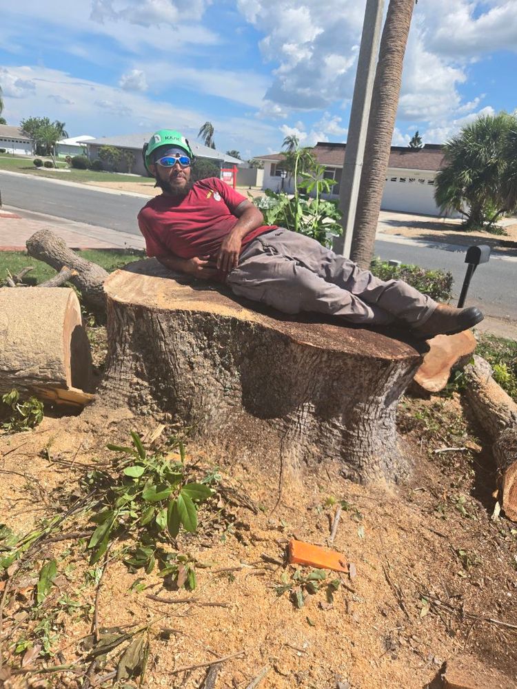 All Photos for TREE BOYS in Ruskin, FL