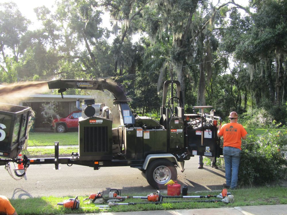 Tree Removal for Daniel Hickey’s Tree Service in DeLand, FL