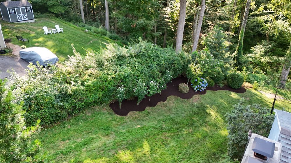 Landscape & Bed Design for Ace Landscaping in Trumbull, CT