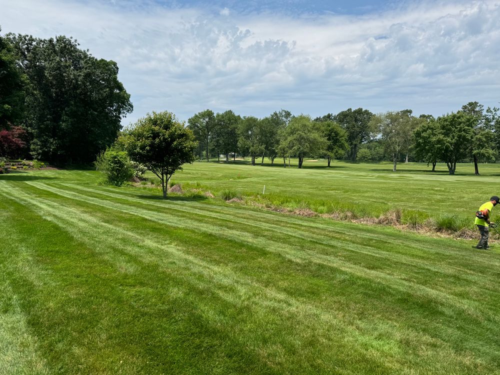 All Photos for Adams Landscaping in Springfield, MA