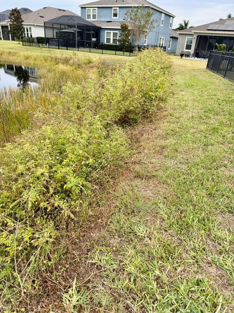 All Photos for Shoreside Property Services in Apollo Beach, FL