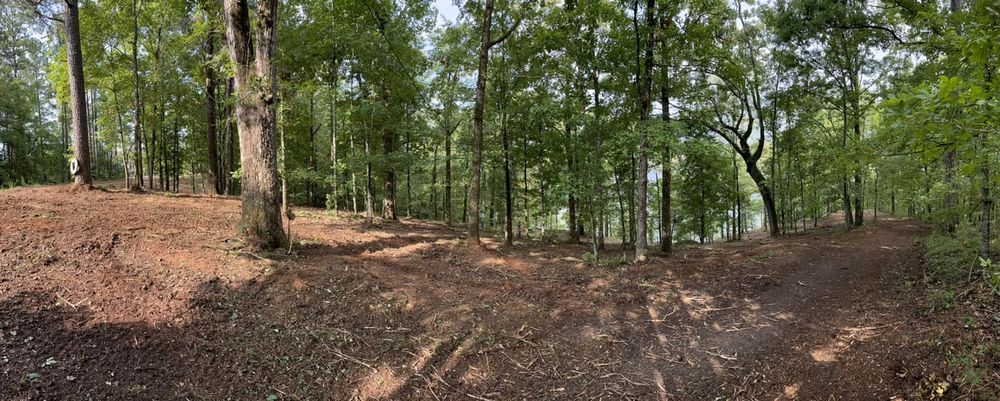 Our Forestry Mulching service efficiently clears land by shredding trees and brush, leaving nutrient-rich mulch behind. It's an eco-friendly solution that promotes healthier soil without the need for burning or hauling debris. for Archer Land Management in Macon, GA