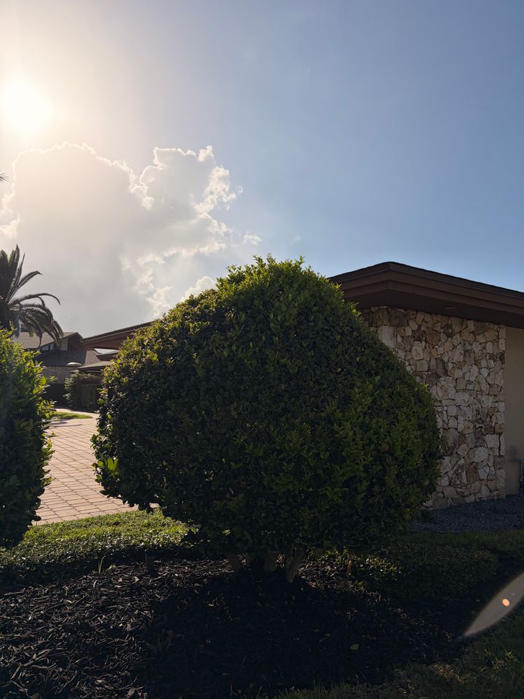 All Photos for Vanic's Landscaping in Port Orange, FL