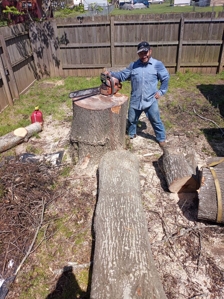 All Photos for Leon Landscaping & Tree Service in Palestine, TX