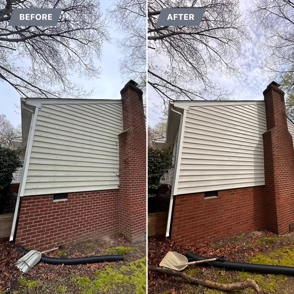 All Photos for LeafTide Solutions in Richmond, VA