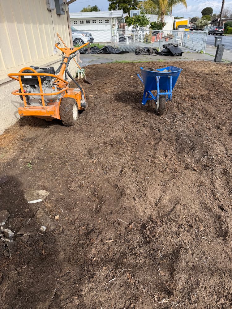 All Photos for CBA Landscaping in Hayward, CA