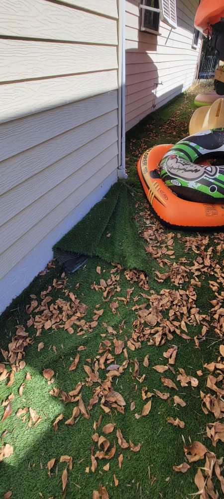 All Photos for Tezna Landscaping, Trees & Pavers in Valrico, FL