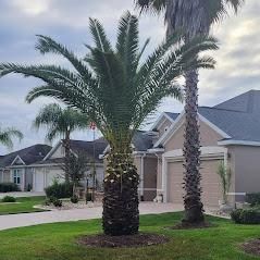 All Photos for TopNotch Landscaping Services  in The Villages, FL