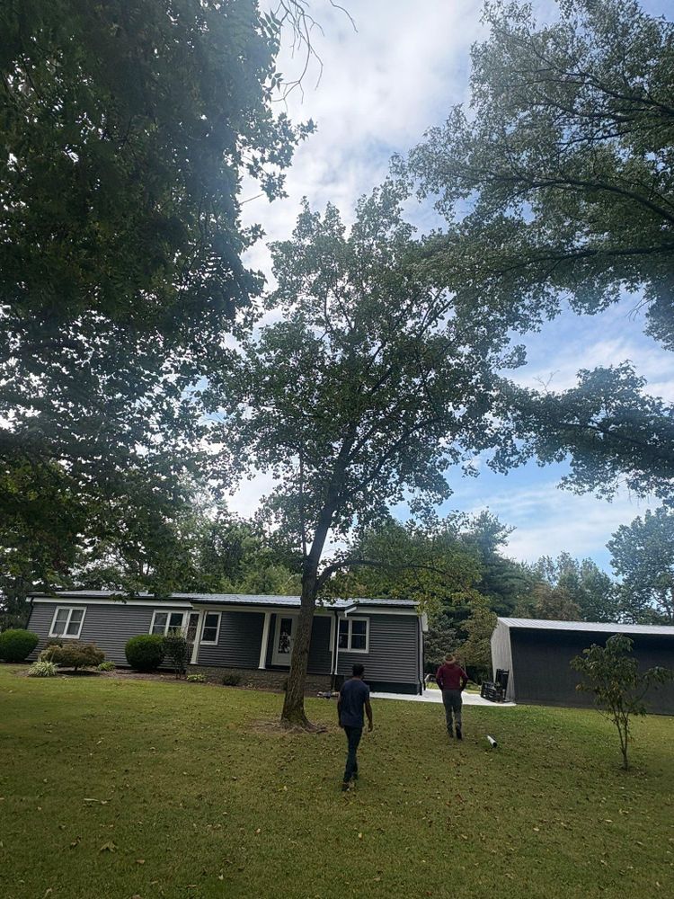 All Photos for Dig-It Tree Company in , 
