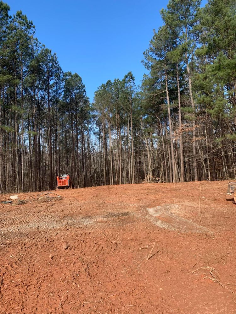 All Photos for A.P Land Management in Atlanta, Ga