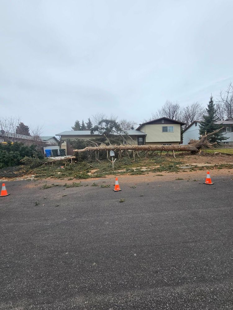 Tree Removal for Portneuf Valley Tree Service in Pocatello, ID