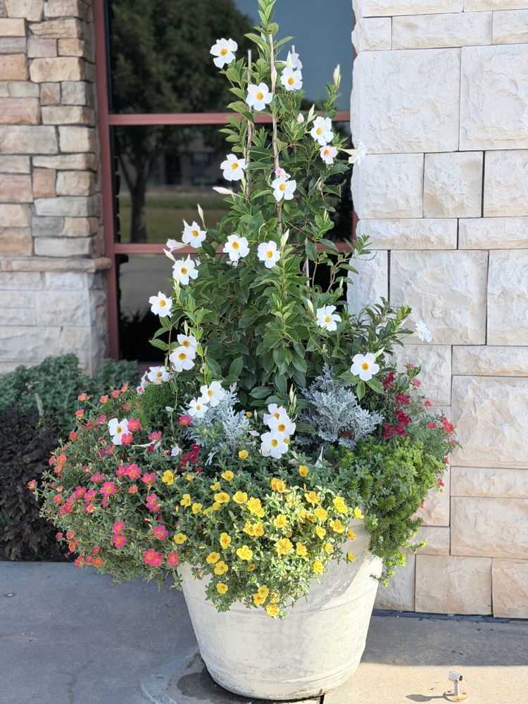 All Photos for Urban Lawn & Landscape in Oklahoma City, OK