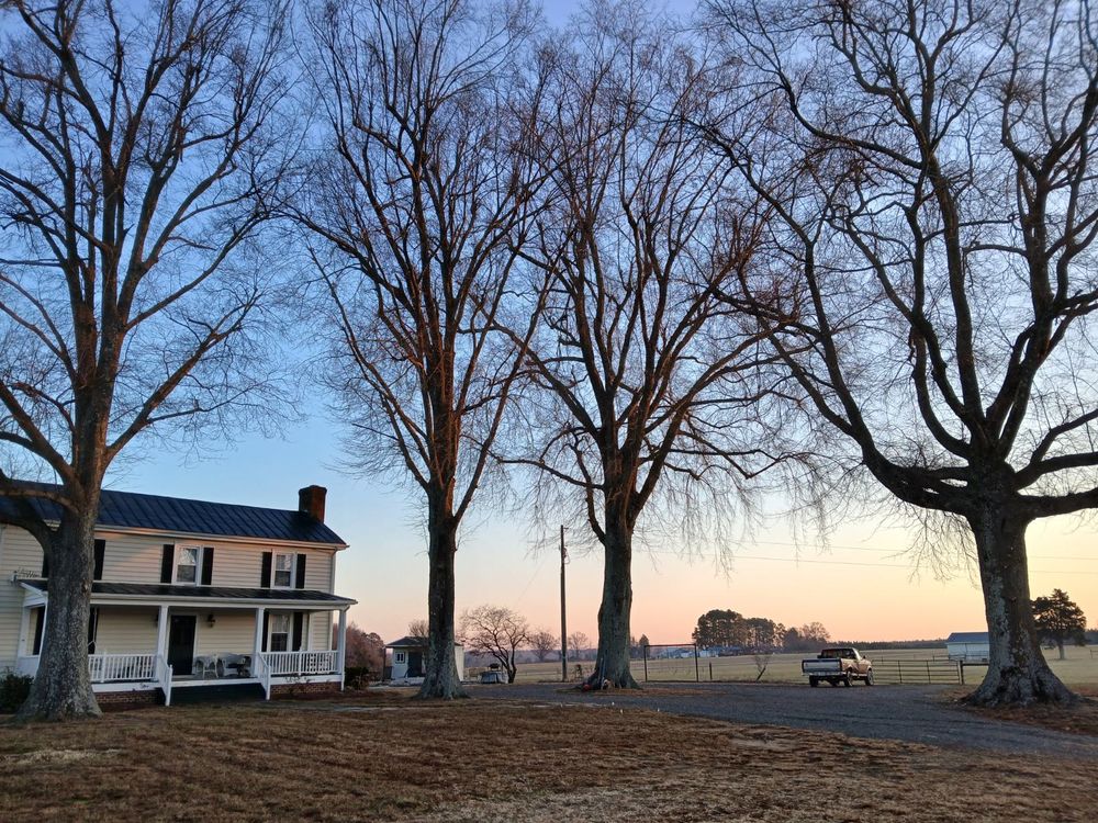All Photos for Whiskey Ridge Mulching & Land Services in South Boston, VA