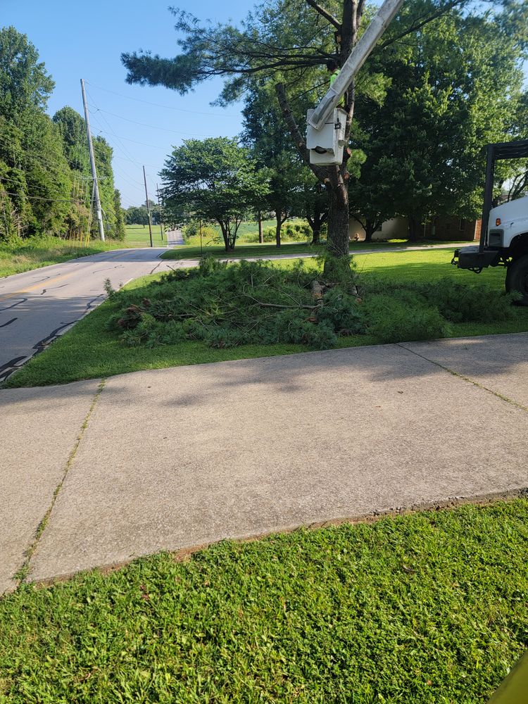 All Photos for Lightning Tree Service in Corydon, IN