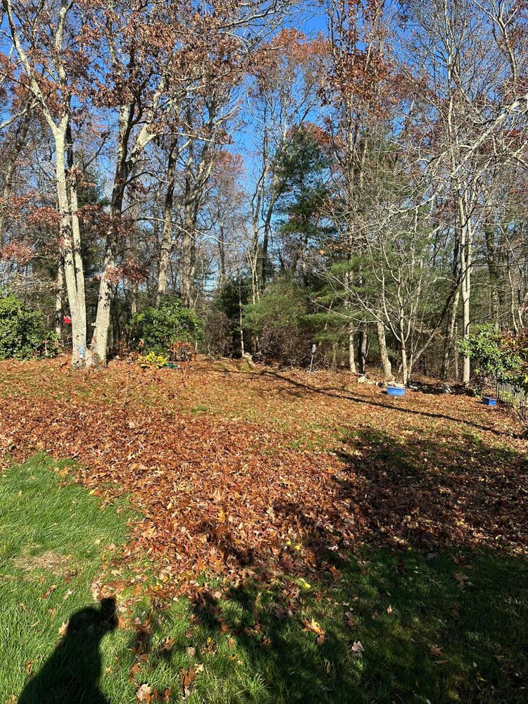 All Photos for Silver City Tree and Landscape in Taunton, MA