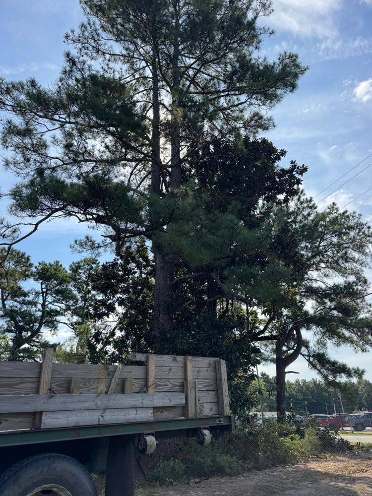 All Photos for Clean Acres in Hartsville, SC