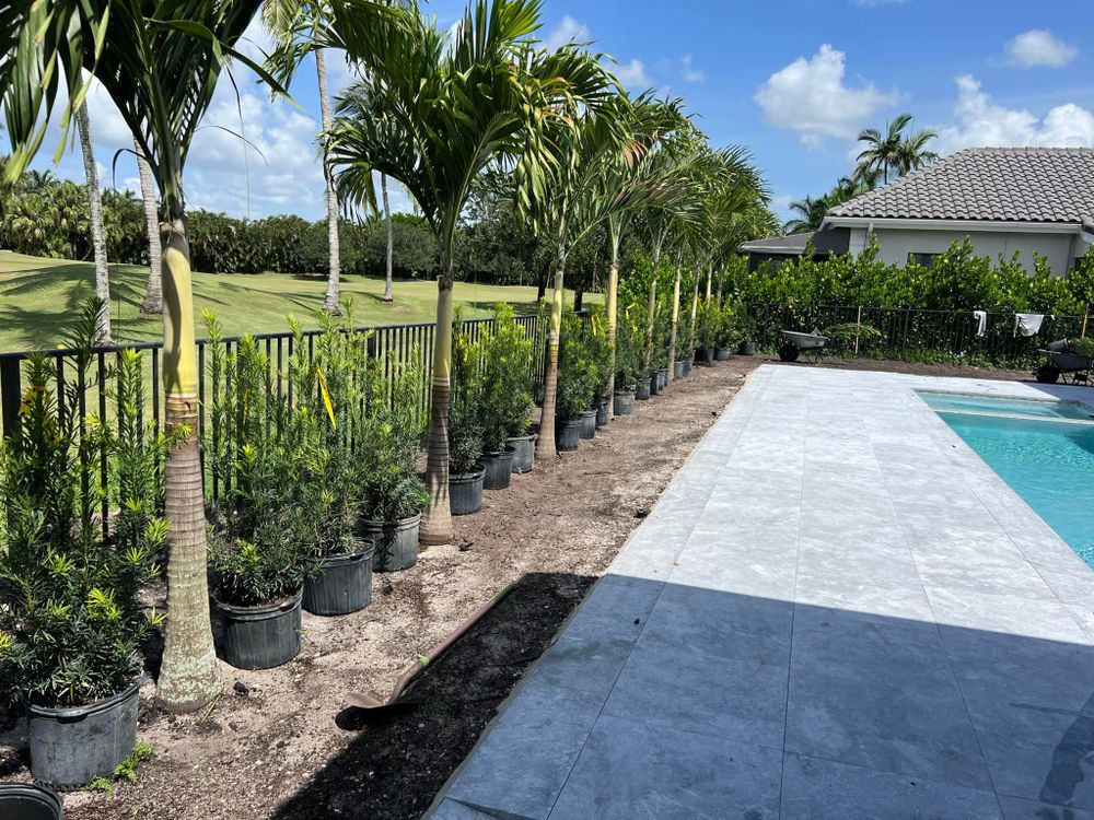 Enhance your landscape with our expert Tree Installation service, ensuring healthy growth and optimal placement. Combined with professional mulch installation, we provide nutrients and protection for a flourishing outdoor environment. for An Extravagant Landscape & Lawn Service in Delray, FL