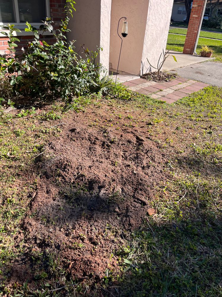 All Photos for KB’s Stump Removal in Seminole, FL