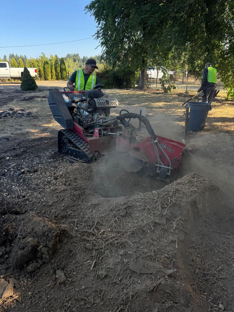 All Photos for Willamette Landscaping and Tree Services in Albany, OR