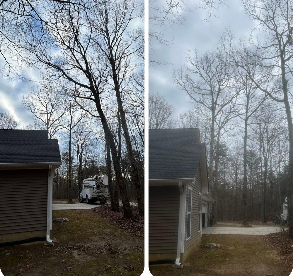 All Photos for McBee’s Tree Service in Sewanee, TN