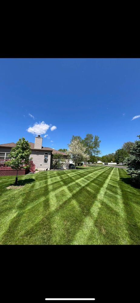 All Photos for Hatalla Lawn Maintenance  in Springfield, IL