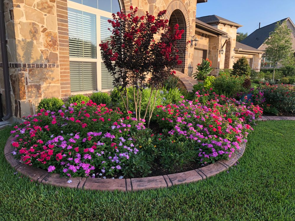 All Photos for Texas Curb N Borders in Houston, TX