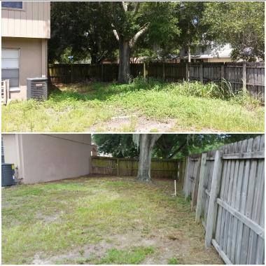 Landscaping for 1 Friendly Lawn Service in Tampa, FL