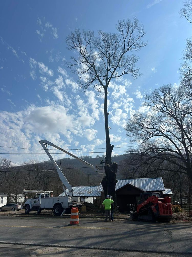 All Photos for Chipper's Tree Service  in Fort Payne, AL