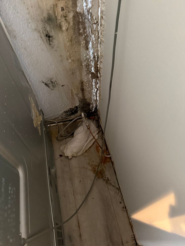 All Photos for Titan Remediation Industries in West Palm Beach, FL