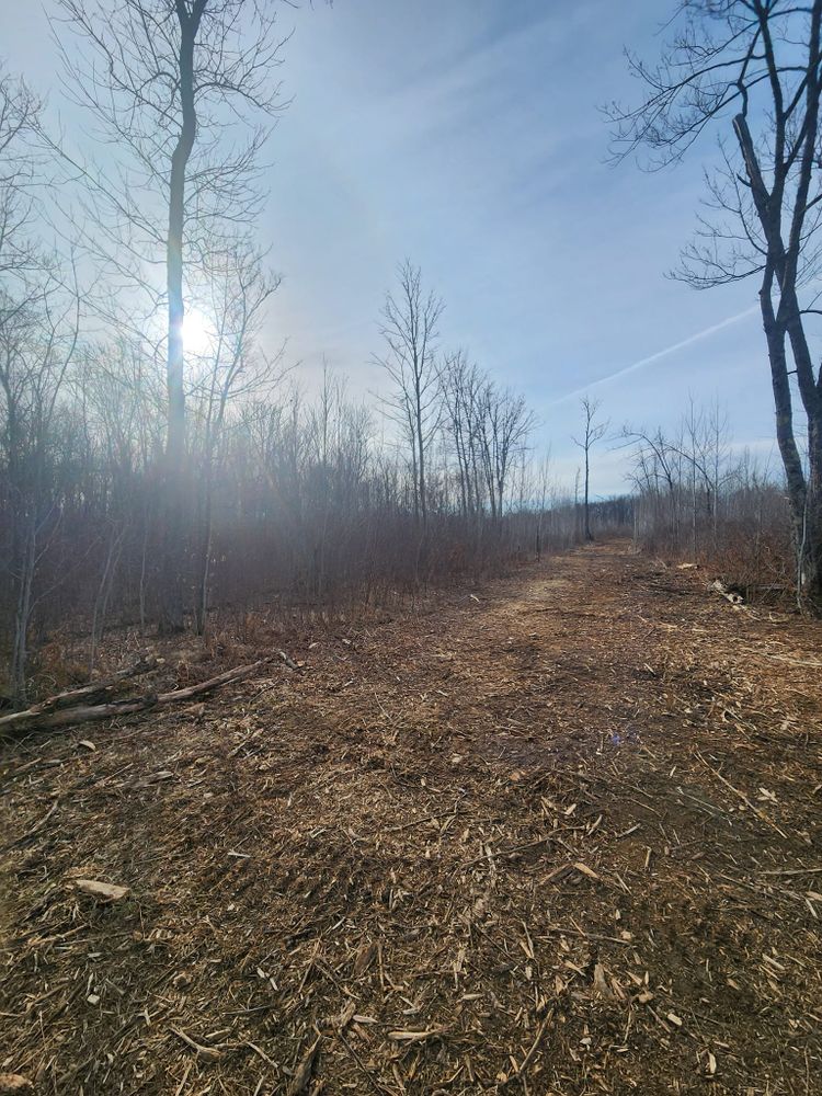 Enhance your garden with our Tree & Shrub Care services, offering expert pruning, disease prevention, and nourishment to ensure healthy growth and vibrant landscapes year-round for your home. for Northern Ridge Landscape - Dock & Lift Service in McGregor, MN