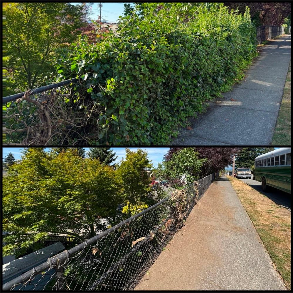 Fall Clean Up for Golovin Property Services LLC in Marysville, WA