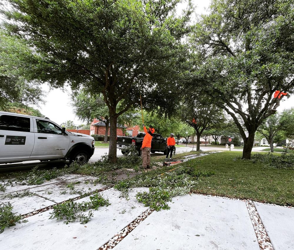 Tree Service for The S&L Good Fellas LLC in Irving, TX