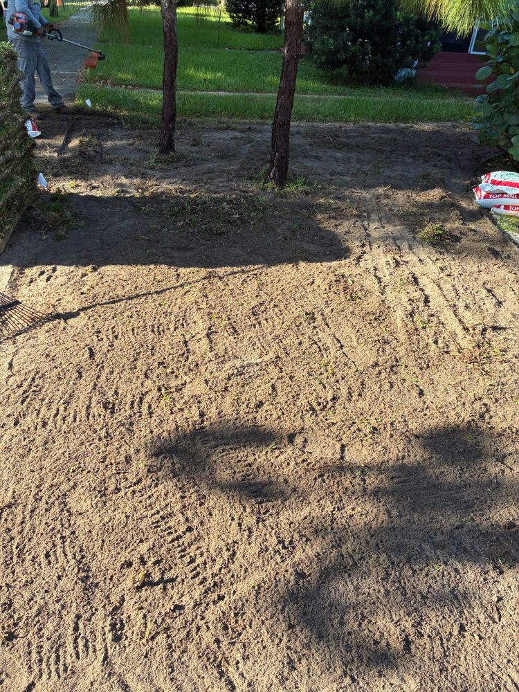 All Photos for Gulf Bay Sod in Clearwater, FL