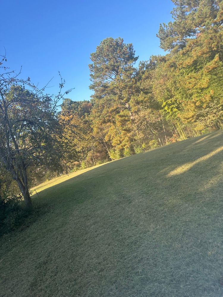 All Photos for J.P Landscaping and excavation in Chattanooga, TN