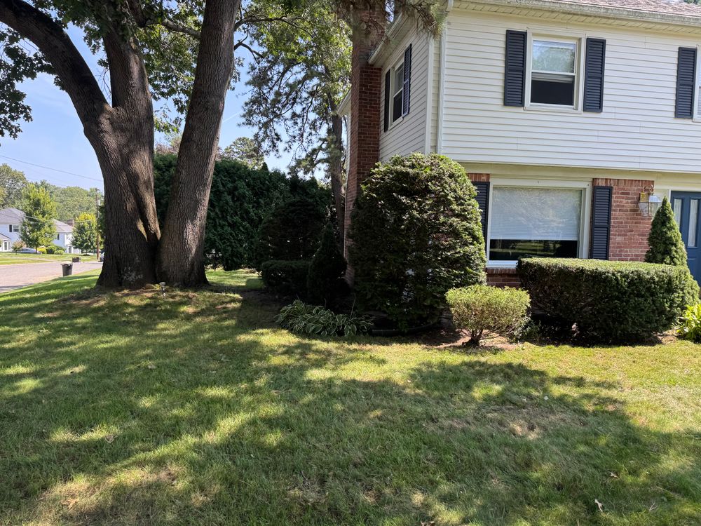 All Photos for Adams Landscaping in Springfield, MA