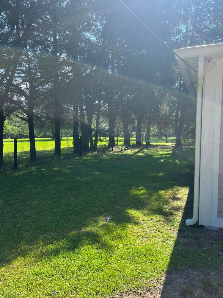 Landscaping for Joseys Lawn and Tree Care in Chipley, FL
