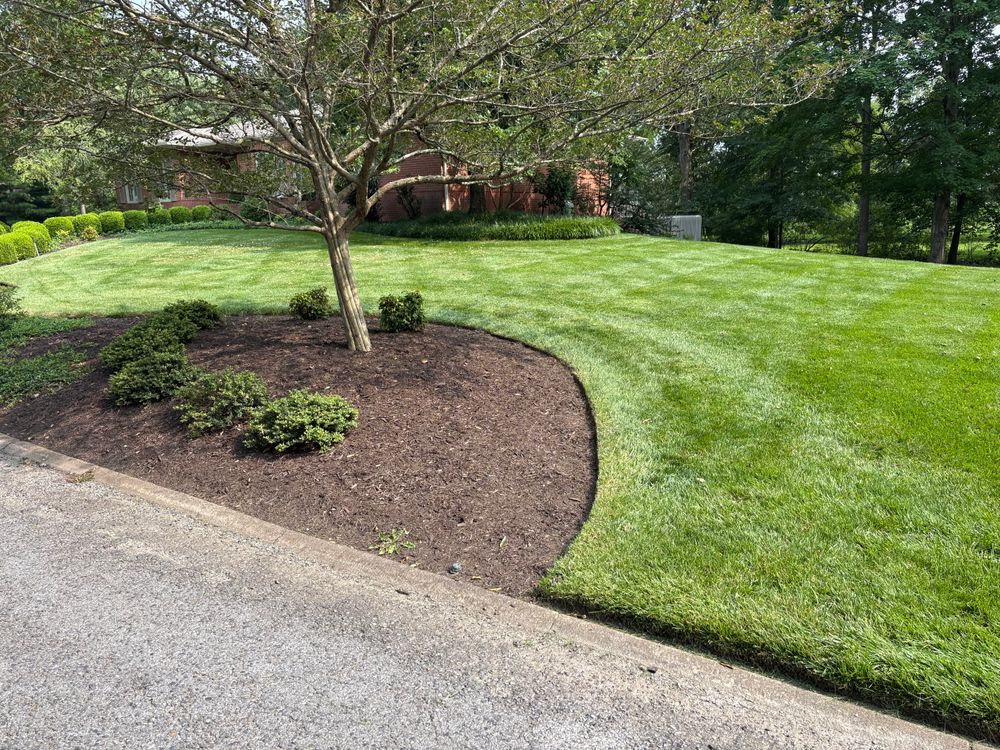 Lawn Care for Bailey’s Lawn Care & Dirt Service in Murray, KY