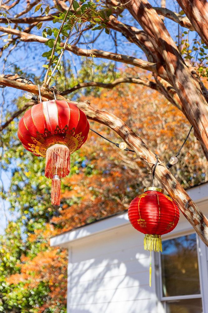 All Photos for House of Ren in Gloucester, VA