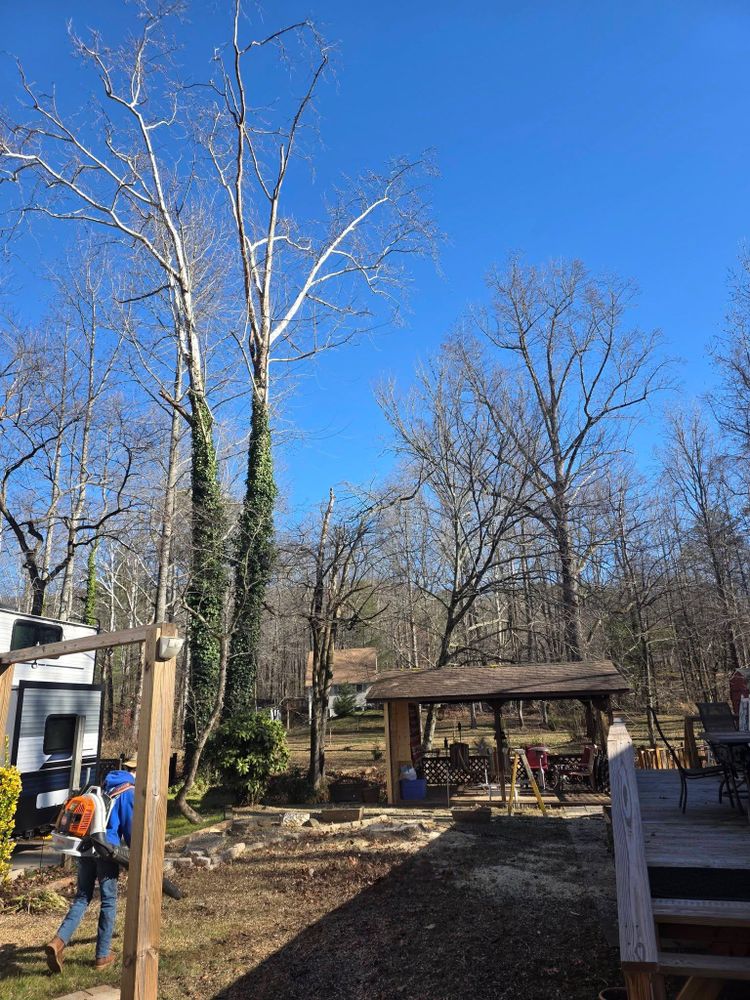 All Photos for Bobcat Bob in Clermont, GA