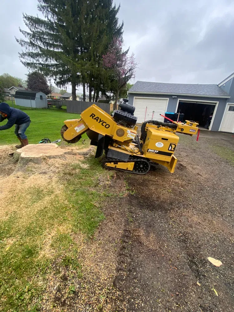 Stump grinding  for Licensed to Cut Tree Service in Athens, PA