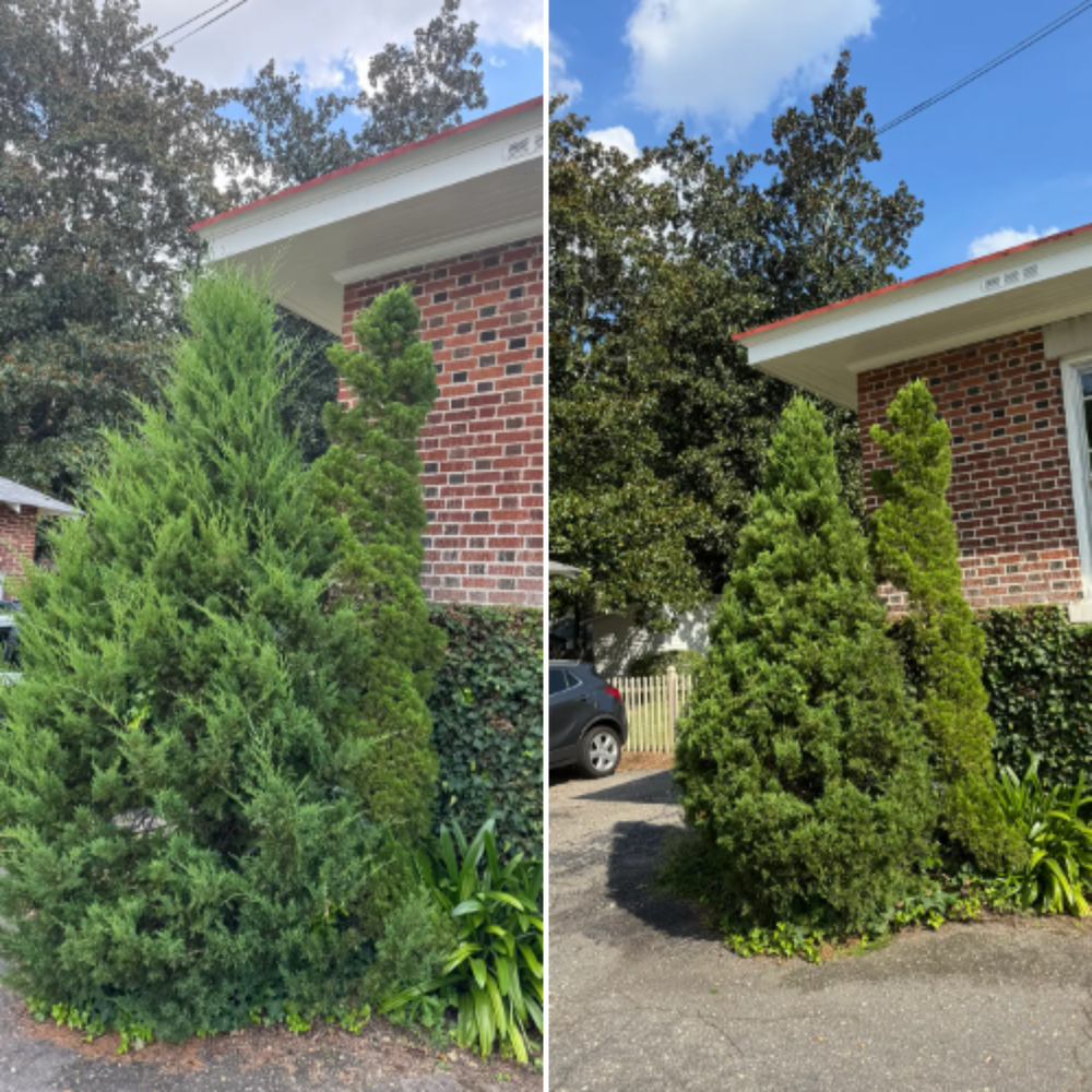 Mowing for Paul's Lawn Care and Pressure Washing in Wilson, NC