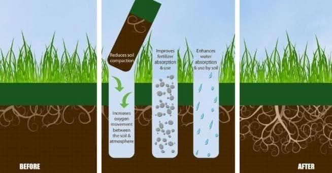 All Photos for Andrew's Lawn Service LLC in Lebanon, IL