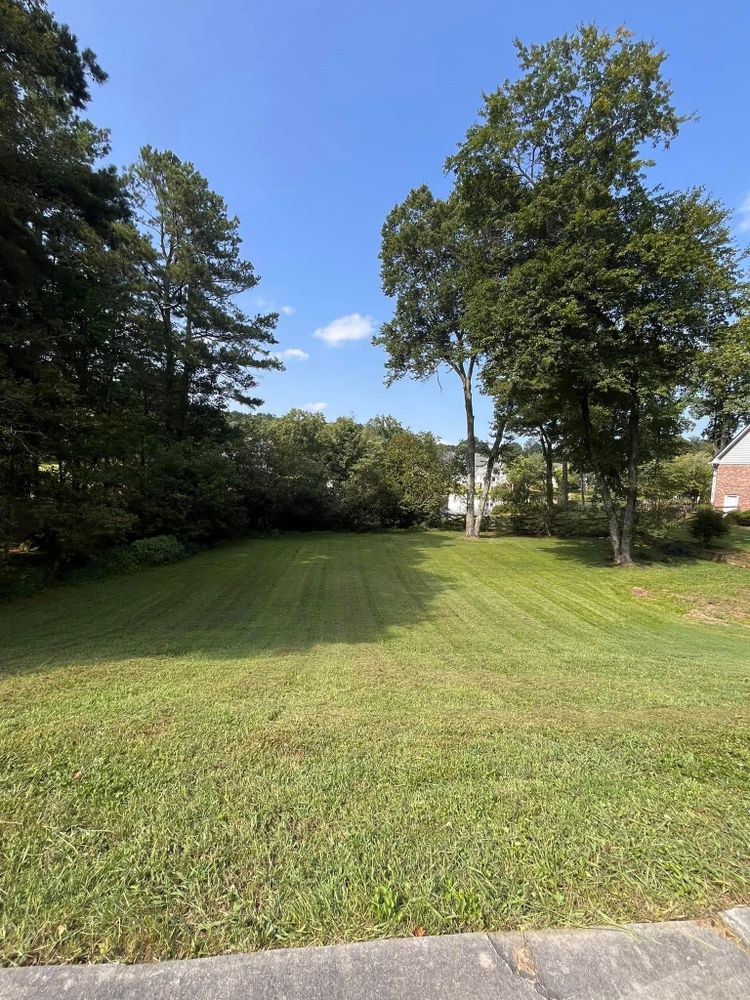 All Photos for VL Landscaping, LLC in Cartersville, GA