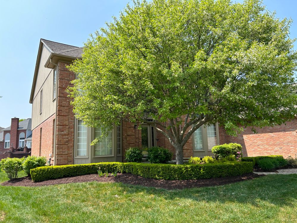 All Photos for Denali Outdoor Services in Washington, MI