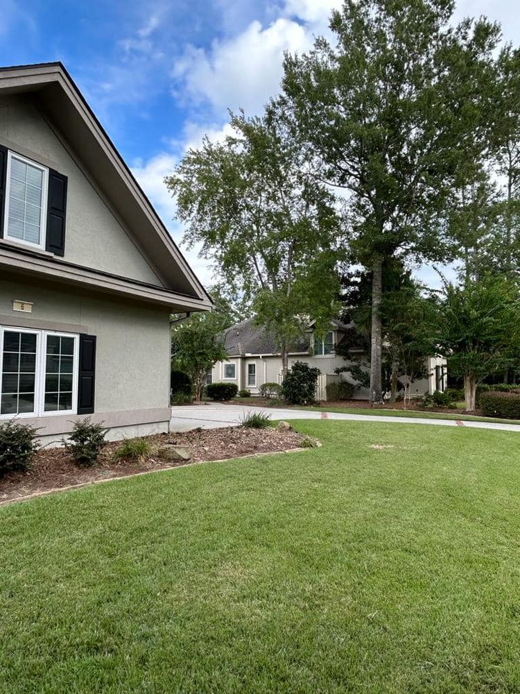 Enhance your landscape's beauty with our expert shrub trimming service, ensuring healthy growth and a polished appearance that complements the overall aesthetic of your property. Professional care for vibrant greenery! for Ayla Tree Service in Guyton, GA