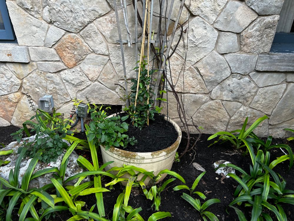 All Photos for Good and Green Landscaping in Canyon Lake, TX