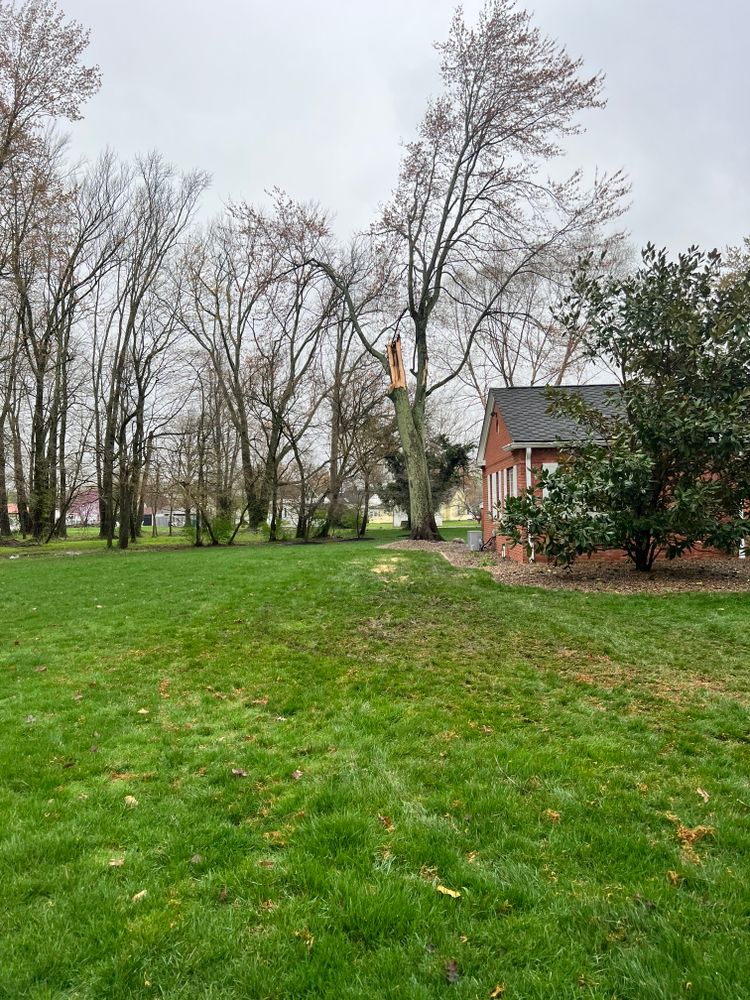 All Photos for Kadin’s Tree Service in North Vernon, IN