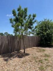 All Photos for Oviedo Land & Garden in Bastrop, TX